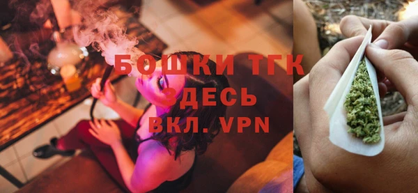 бошки Алексин