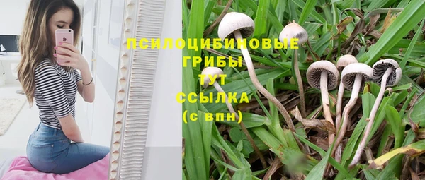 кристаллы Алзамай