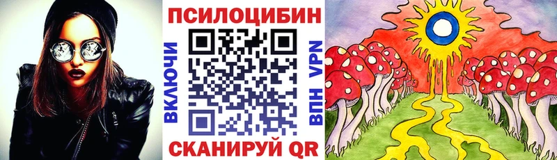 цена   Артёмовский  маркетплейс какой сайт  Псилоцибиновые грибы Psilocybe 